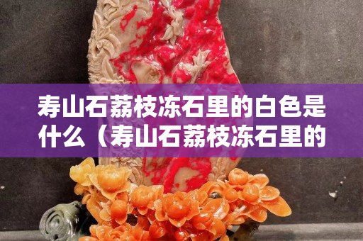 寿山石荔枝冻石里的白色是什么（寿山石荔枝冻石里的白色是什么东西）