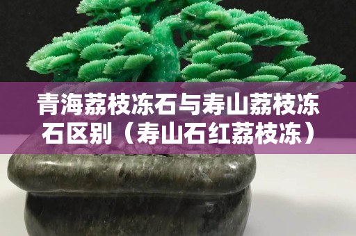 青海荔枝冻石与寿山荔枝冻石区别（寿山石红荔枝冻）