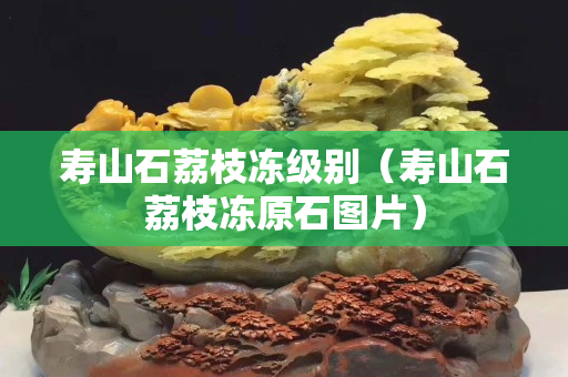 寿山石荔枝冻级别（寿山石荔枝冻原石图片）