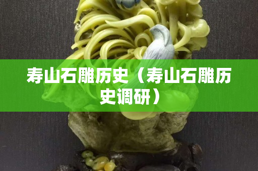 寿山石雕历史（寿山石雕历史调研）