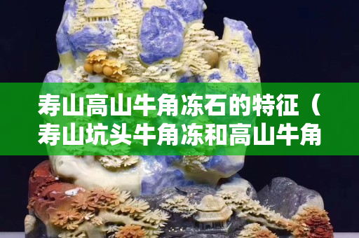寿山高山牛角冻石的特征（寿山坑头牛角冻和高山牛角冻区别特征）