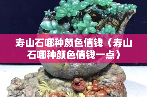 寿山石哪种颜色值钱（寿山石哪种颜色值钱一点）