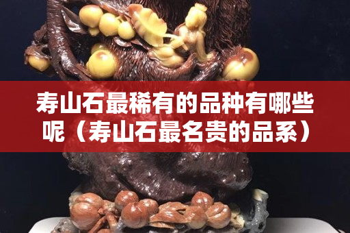 寿山石最稀有的品种有哪些呢（寿山石最名贵的品系）