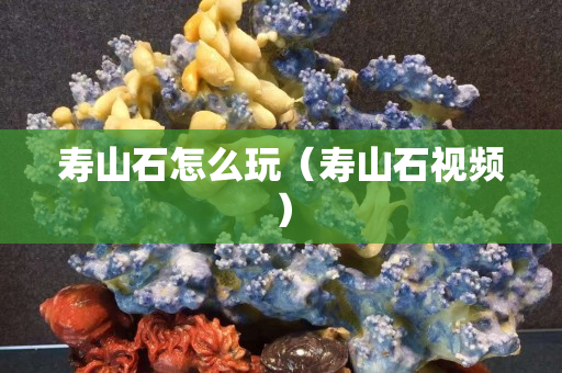 寿山石怎么玩（寿山石视频）