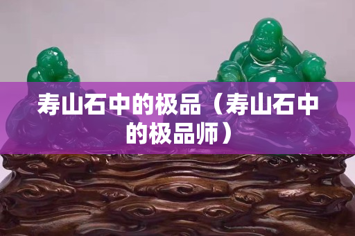 寿山石中的极品（寿山石中的极品师）