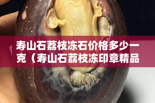 寿山石荔枝冻石价格多少一克（寿山石荔枝冻印章精品价格）