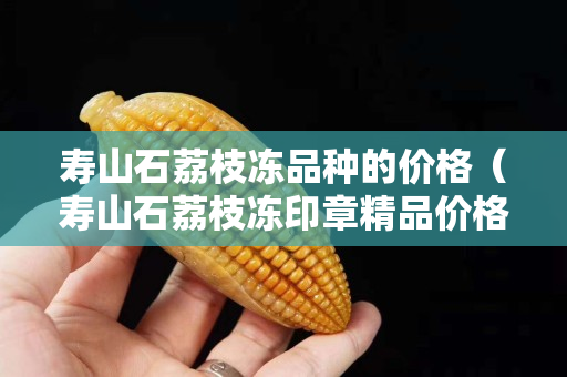 寿山石荔枝冻品种的价格（寿山石荔枝冻印章精品价格）