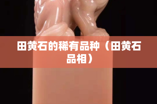 田黄石的稀有品种（田黄石品相）