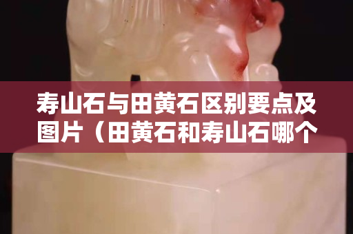 寿山石与田黄石区别要点及图片（田黄石和寿山石哪个硬度高）
