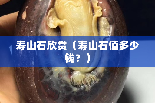 寿山石欣赏（寿山石值多少钱？）
