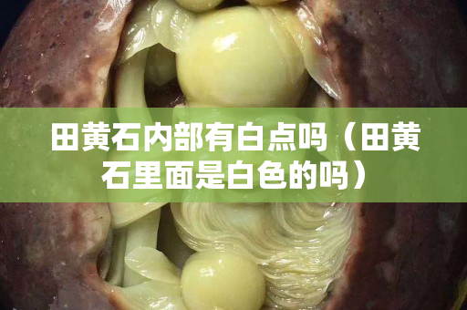 田黄石内部有白点吗（田黄石里面是白色的吗）