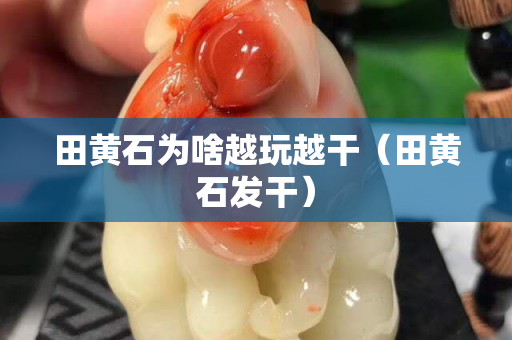 田黄石为啥越玩越干（田黄石发干）