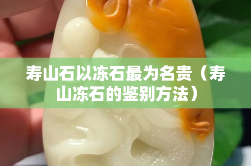 寿山石以冻石最为名贵（寿山冻石的鉴别方法）