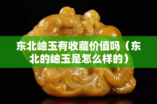 东北岫玉有收藏价值吗（东北的岫玉是怎么样的）