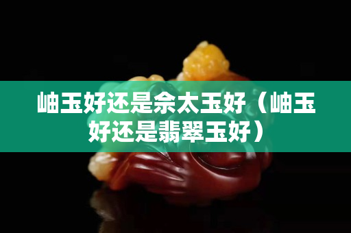 岫玉好还是佘太玉好（岫玉好还是翡翠玉好）