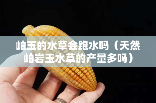 岫玉的水草会跑水吗（天然岫岩玉水草的产量多吗）