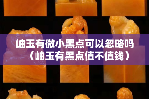 岫玉有微小黑点可以忽略吗（岫玉有黑点值不值钱）