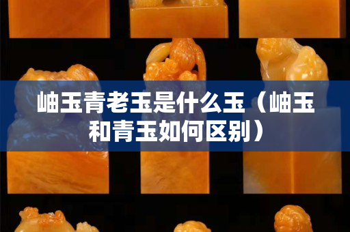 岫玉青老玉是什么玉（岫玉和青玉如何区别）