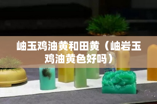 岫玉鸡油黄和田黄（岫岩玉鸡油黄色好吗）