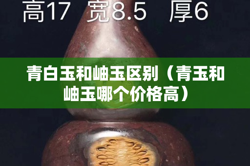 青白玉和岫玉区别（青玉和岫玉哪个价格高）