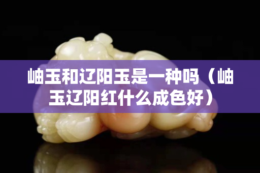 岫玉和辽阳玉是一种吗（岫玉辽阳红什么成色好）