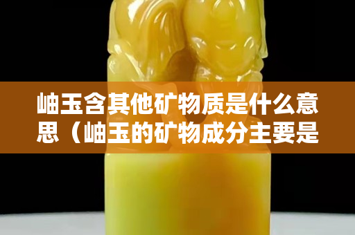 岫玉含其他矿物质是什么意思（岫玉的矿物成分主要是）