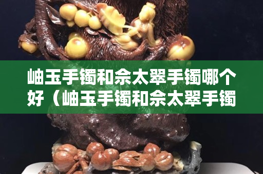 岫玉手镯和佘太翠手镯哪个好（岫玉手镯和佘太翠手镯哪个好一点）