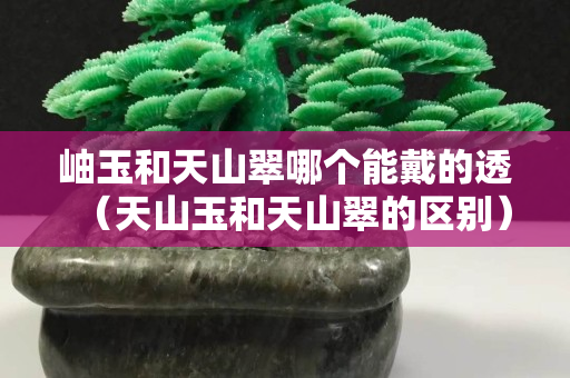 岫玉和天山翠哪个能戴的透（天山玉和天山翠的区别）