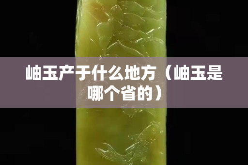 岫玉产于什么地方（岫玉是哪个省的）