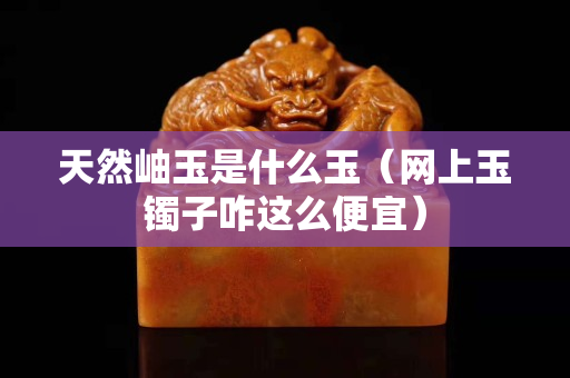 天然岫玉是什么玉（网上玉镯子咋这么便宜）