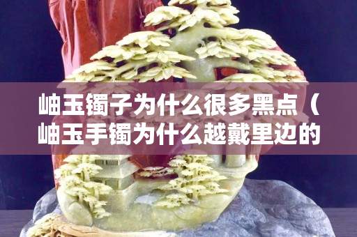 岫玉镯子为什么很多黑点（岫玉手镯为什么越戴里边的白色絮状物越明显越多呢）