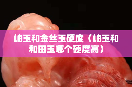 岫玉和金丝玉硬度（岫玉和和田玉哪个硬度高）