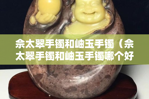 佘太翠手镯和岫玉手镯（佘太翠手镯和岫玉手镯哪个好）