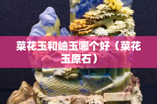 菜花玉和岫玉哪个好（菜花玉原石）