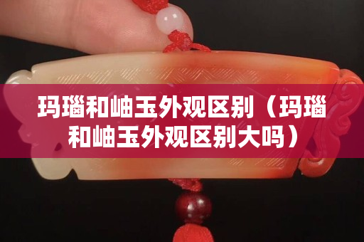 玛瑙和岫玉外观区别（玛瑙和岫玉外观区别大吗）