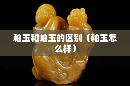 釉玉和岫玉的区别（釉玉怎么样）