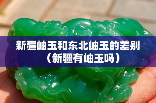 新疆岫玉和东北岫玉的差别（新疆有岫玉吗）