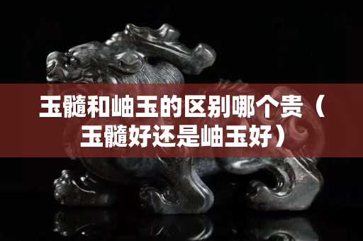 玉髓和岫玉的区别哪个贵（玉髓好还是岫玉好）