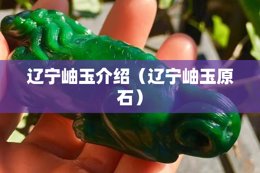 辽宁岫玉介绍（辽宁岫玉原石）