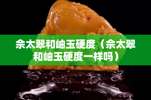 佘太翠和岫玉硬度（佘太翠和岫玉硬度一样吗）