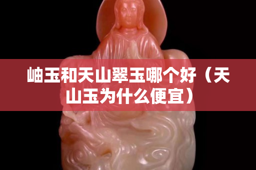 岫玉和天山翠玉哪个好（天山玉为什么便宜）