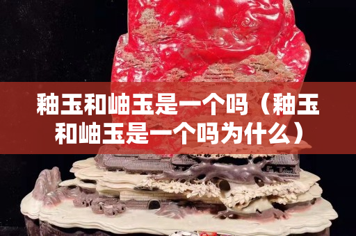 釉玉和岫玉是一个吗（釉玉和岫玉是一个吗为什么）
