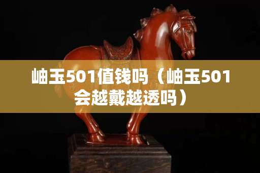岫玉501值钱吗（岫玉501会越戴越透吗）