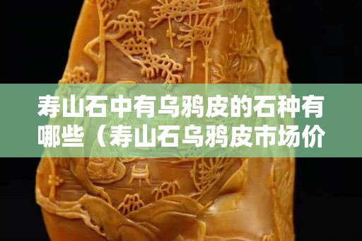 寿山石中有乌鸦皮的石种有哪些（寿山石乌鸦皮市场价格）