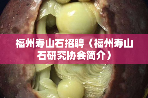 福州寿山石招聘（福州寿山石研究协会简介）