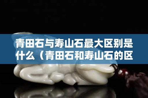 青田石与寿山石最大区别是什么（青田石和寿山石的区别）