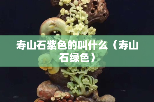 寿山石紫色的叫什么（寿山石绿色）