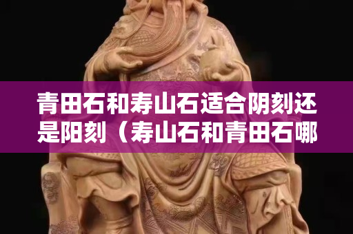 青田石和寿山石适合阴刻还是阳刻（寿山石和青田石哪个更有收藏价值）
