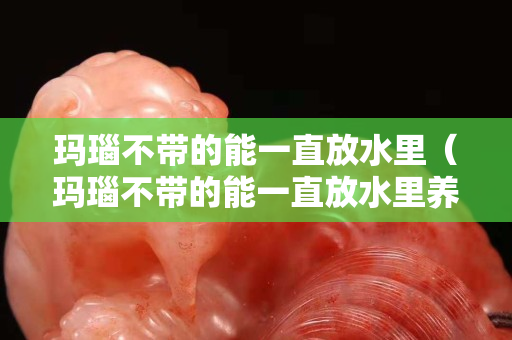 玛瑙不带的能一直放水里（玛瑙不带的能一直放水里养吗）