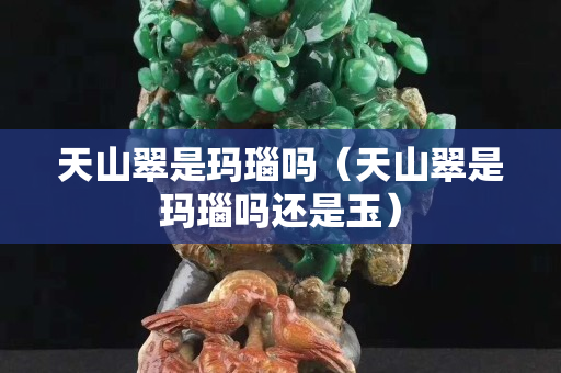 天山翠是玛瑙吗（天山翠是玛瑙吗还是玉）